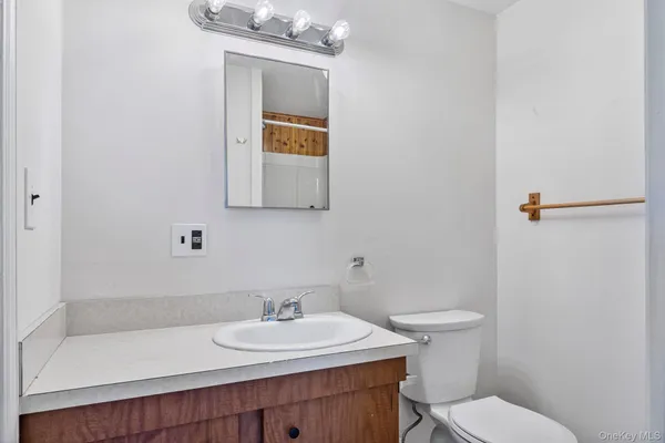 a bathroom with a sink a toilet and mirror