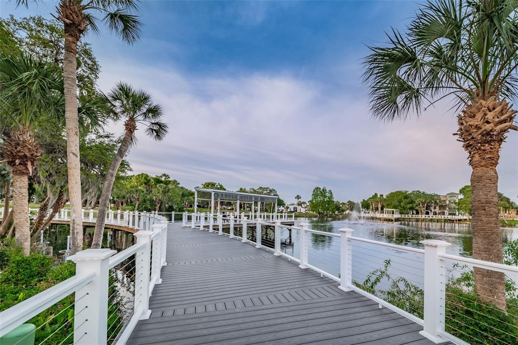 6141 Lafayette Street New Port Richey, FL 34652 - Photo 84 of 98 Gallery Image 84