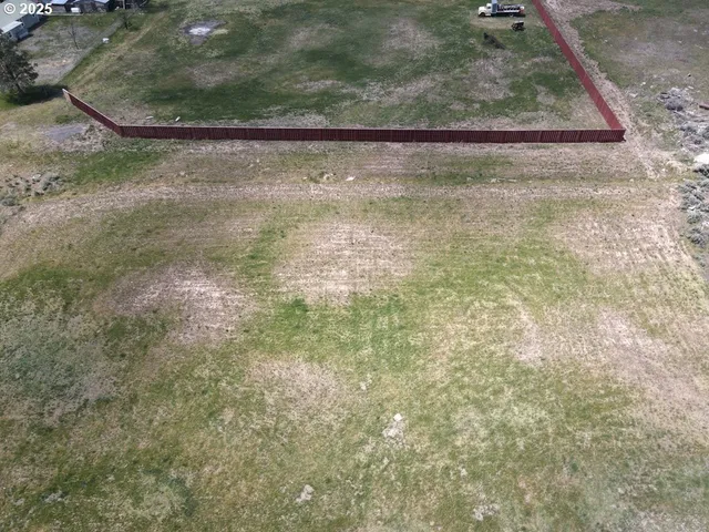 a view of lot of a tree