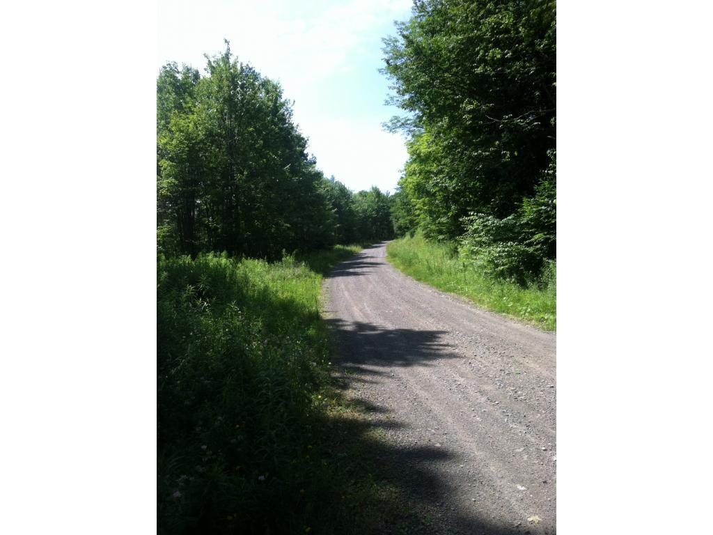 90 Hoskin Road Maine, NY 13811 - Photo 12 of 14 Gallery Image 12