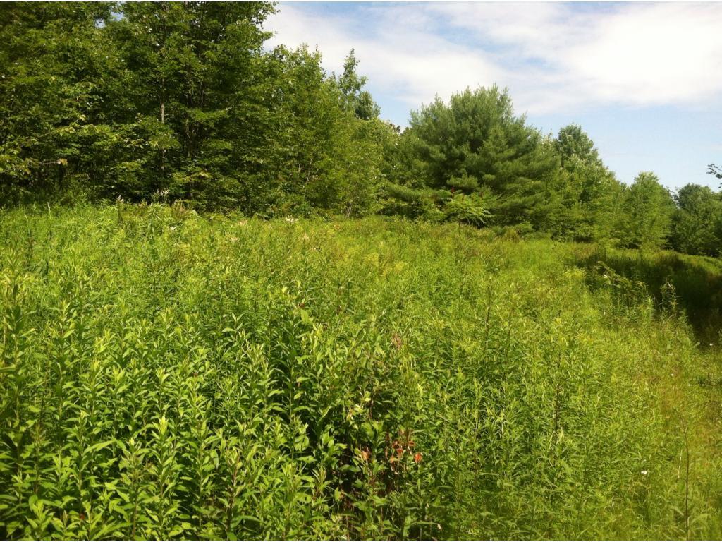 90 Hoskin Road Maine, NY 13811 - Photo 8 of 14 Gallery Image 8