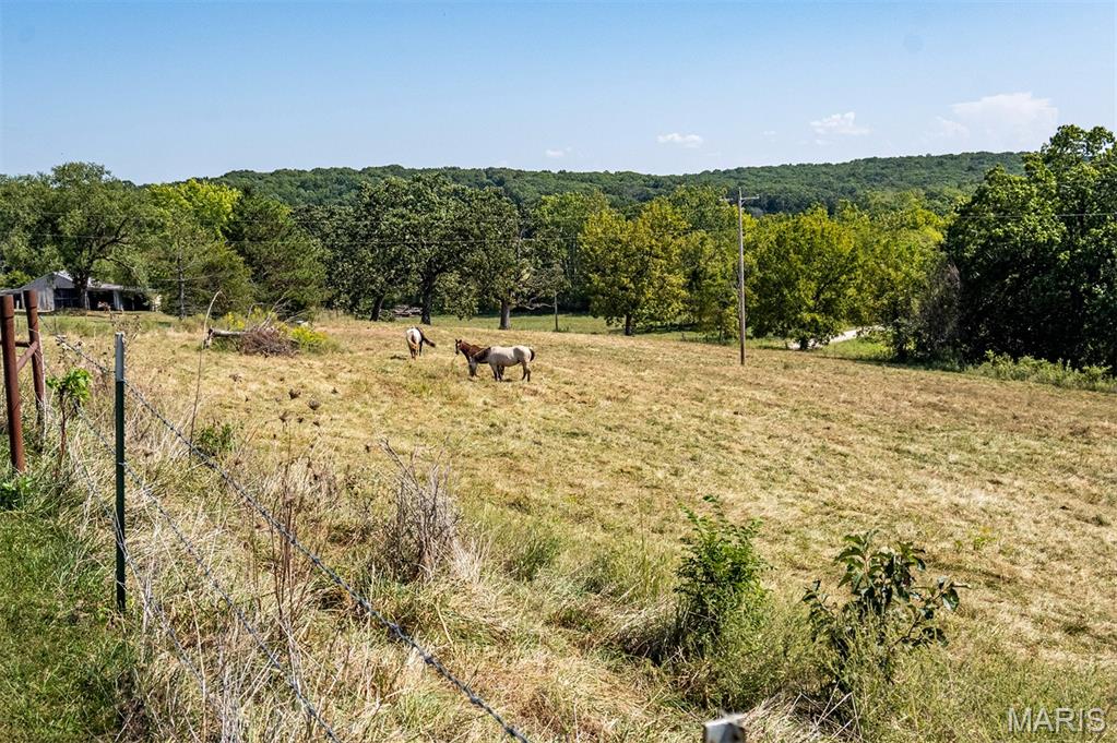 1845 Flottmann Road Gerald, MO 63037 - Photo 65 of 87 Gallery Image 65