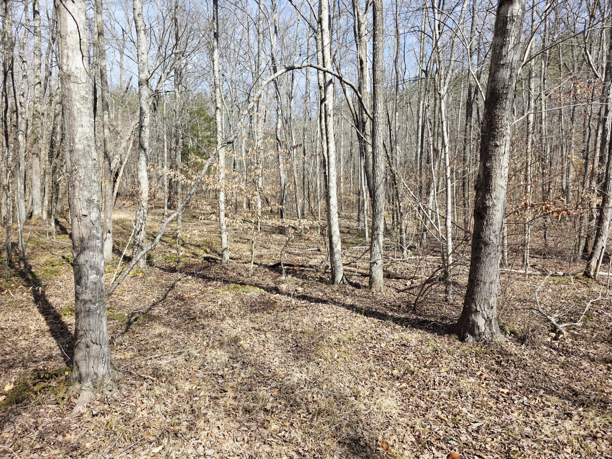 0 Birdsong Road Holladay, TN 38341 - Photo 22 of 70