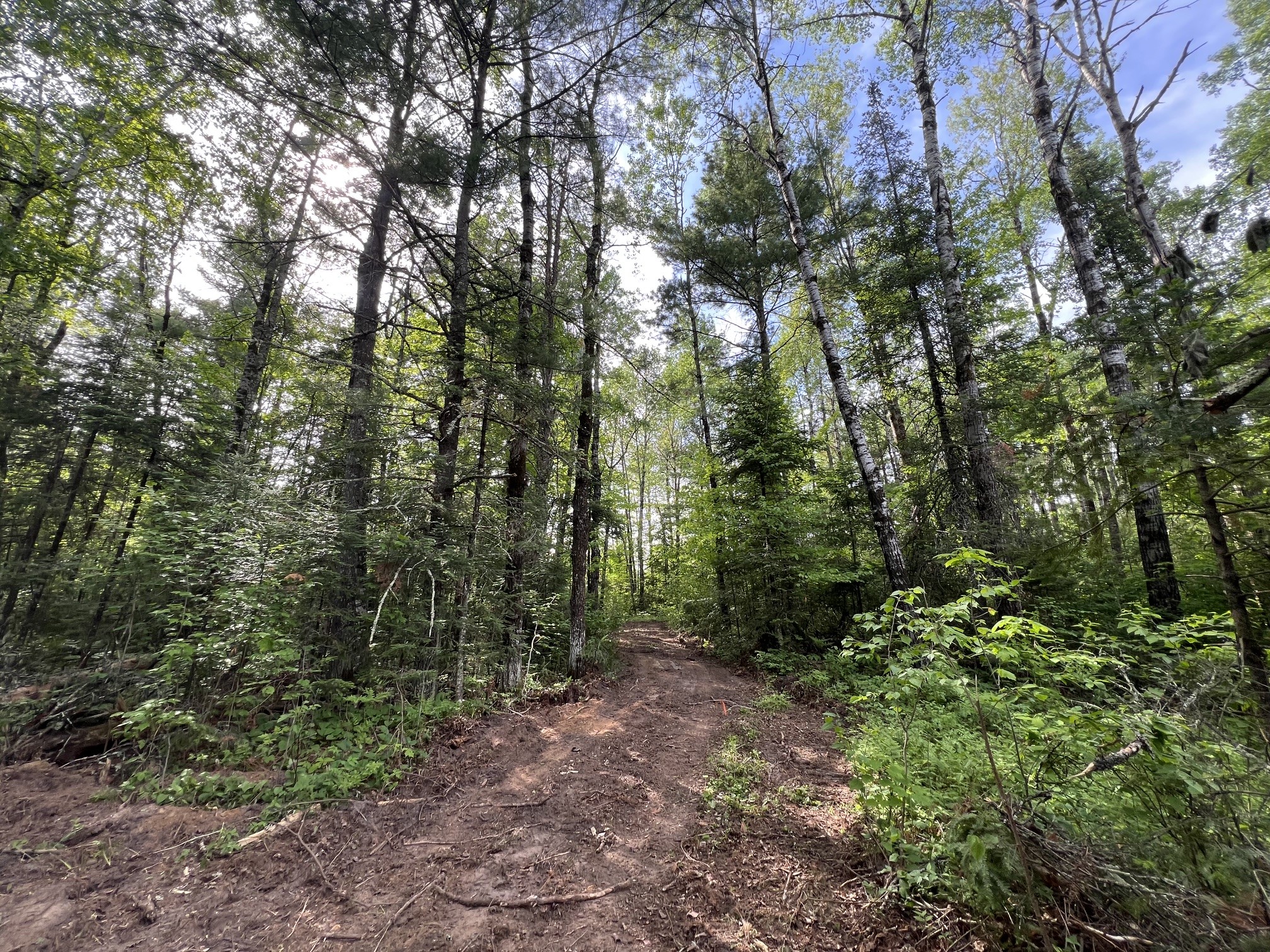 Lot 1 North Smith Road Couderay, WI 54828 - Photo 8 of 29