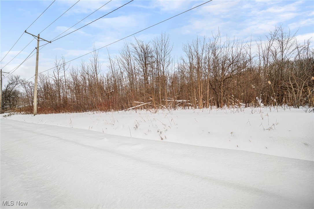 Ledge Road Thompson, OH 44086 - Photo 23 of 26 View of yard covered in snow