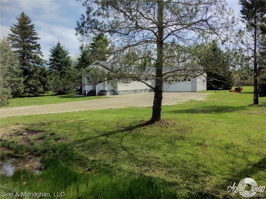 1884 Range Road Port Huron, MI 48060 - Photo 15 of 21 Shielded from the road by line of Pine trees
