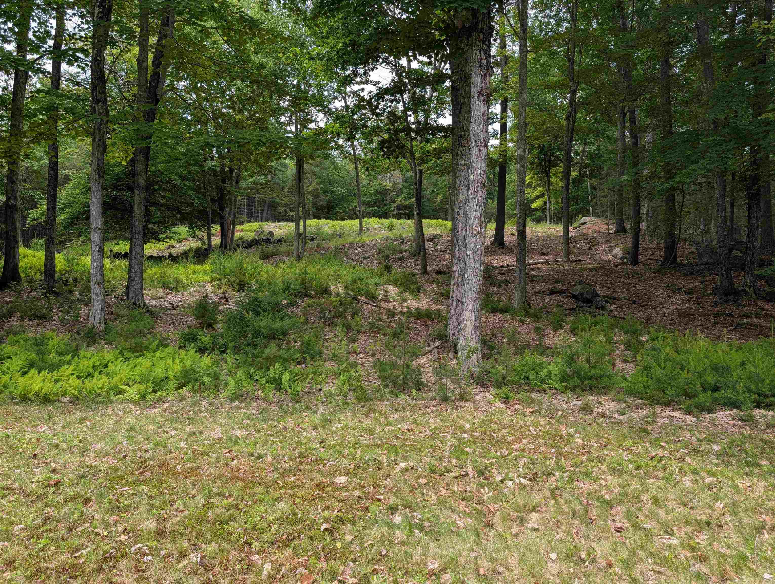 70 High Ridge Road Moultonborough, NH 03254 - Photo 28 of 37