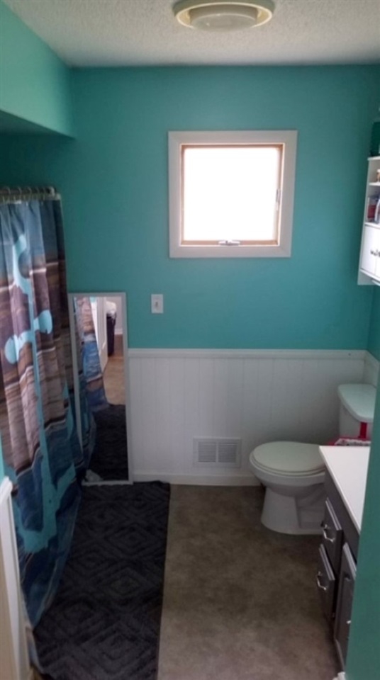 303 South Olson Road Sumner, MI 48889 - Photo 19 of 24 1859208-18.JPG