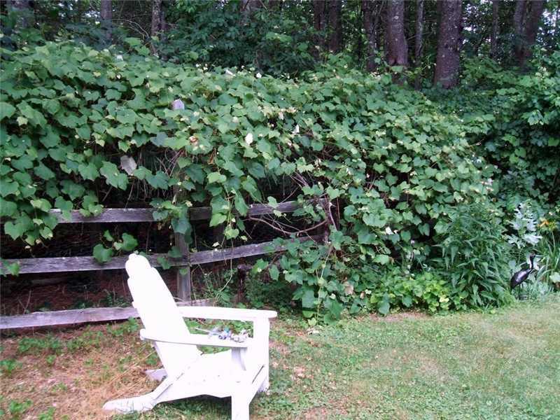 479 River Road Newcastle, ME 04553 - Photo 33 of 35 Yard/Garden.