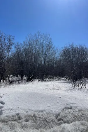 $25,500 | 87-xx Arbor Lane, Mountain Iron, MN 55768