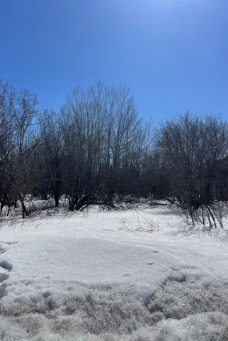 $25,500 | 87-xx Arbor Lane, Mountain Iron, MN 55768