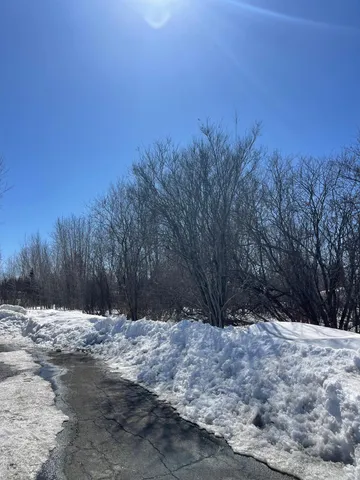 $25,500 | 87-xx Arbor Lane, Mountain Iron, MN 55768