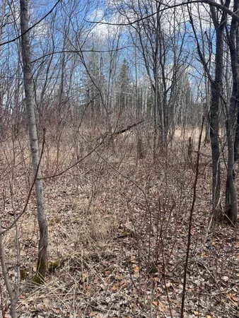 $25,500 | 87-xx Arbor Lane, Mountain Iron, MN 55768