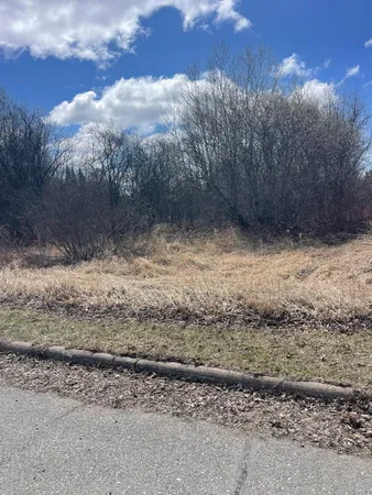 $25,500 | 87-xx Arbor Lane, Mountain Iron, MN 55768