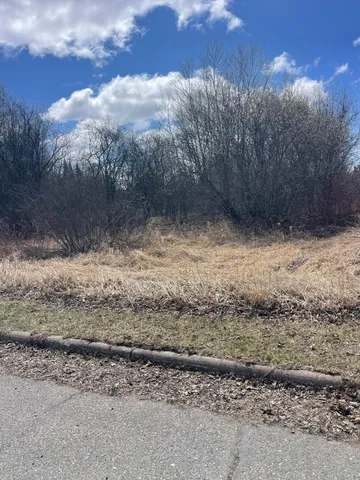 $25,500 | 87-xx Arbor Lane, Mountain Iron, MN 55768