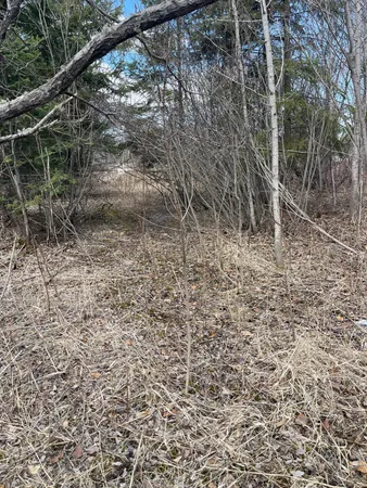 $25,500 | 87-xx Arbor Lane, Mountain Iron, MN 55768