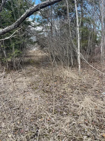 $25,500 | 87-xx Arbor Lane, Mountain Iron, MN 55768