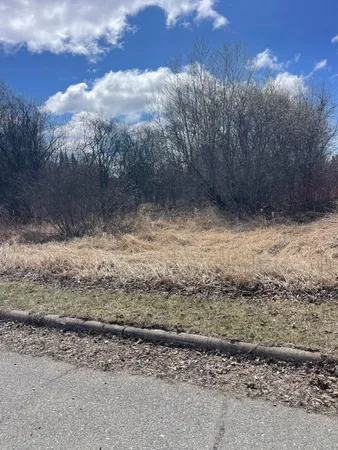 $25,500 | 87-xx Arbor Lane, Mountain Iron, MN 55768