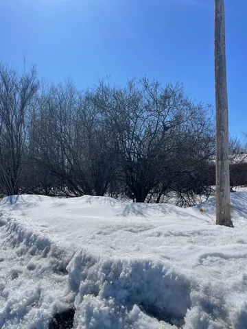 $25,500 | 87-xx Arbor Lane, Mountain Iron, MN 55768