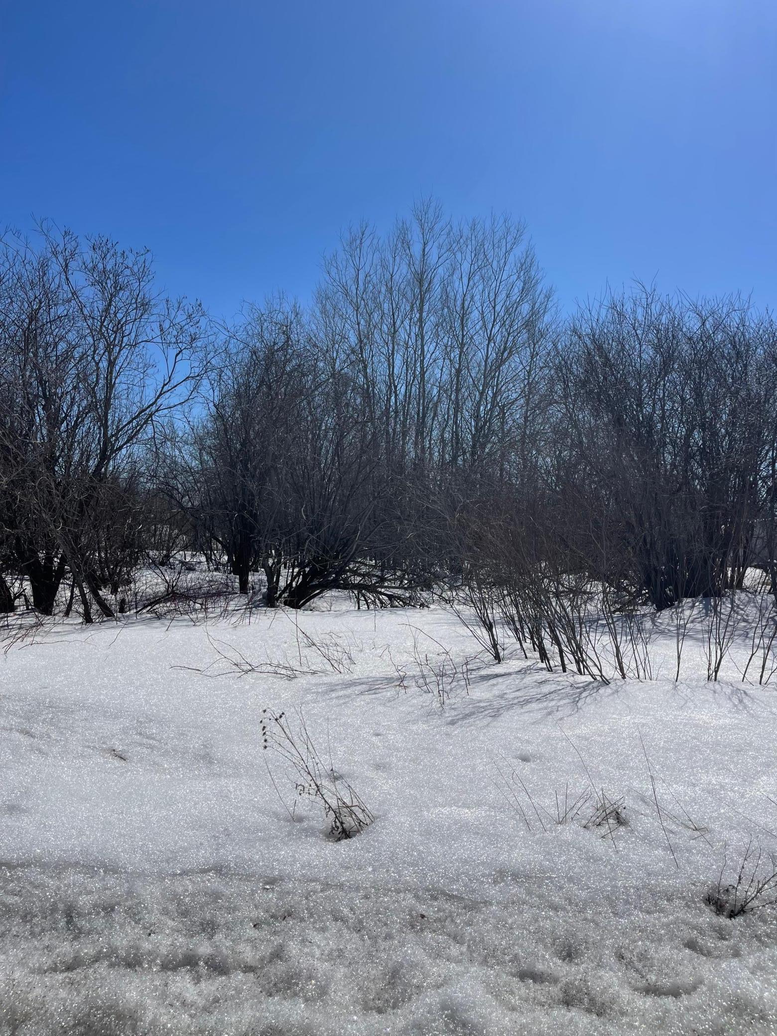 87-xx Arbor Lane Mountain Iron, MN 55768 - Photo 10 of 14