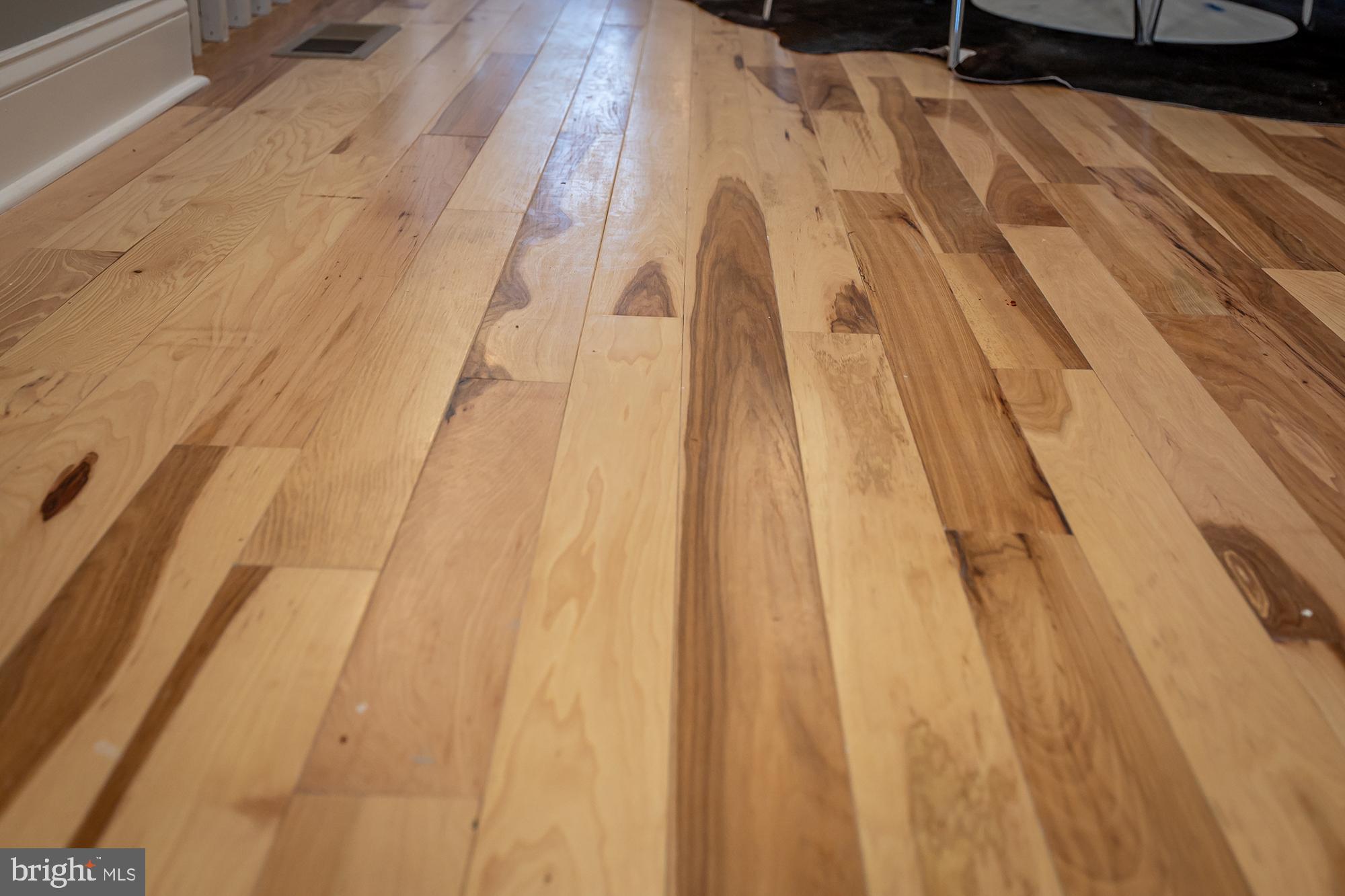 1908 East Lanvale Street Baltimore, MD 21213 - Photo 9 of 49 a bathroom with a shower curtain