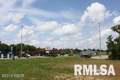 1414 East Walnut Street Carbondale, IL 62902 - Photo 2 of 4 a view of a park with swings