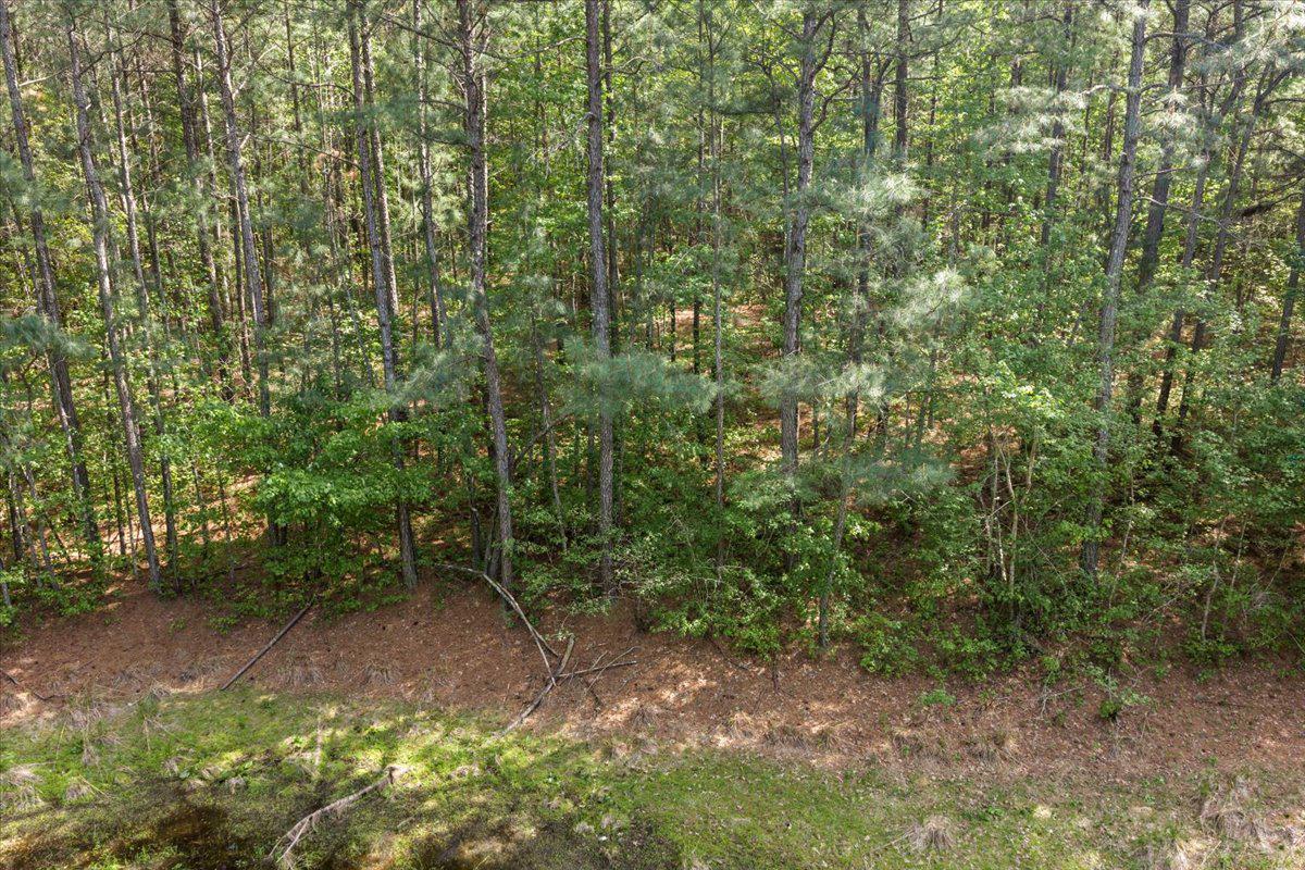 Lot 96 Sturgeon Road Lawrenceville, VA 23868 - Photo 5 of 23