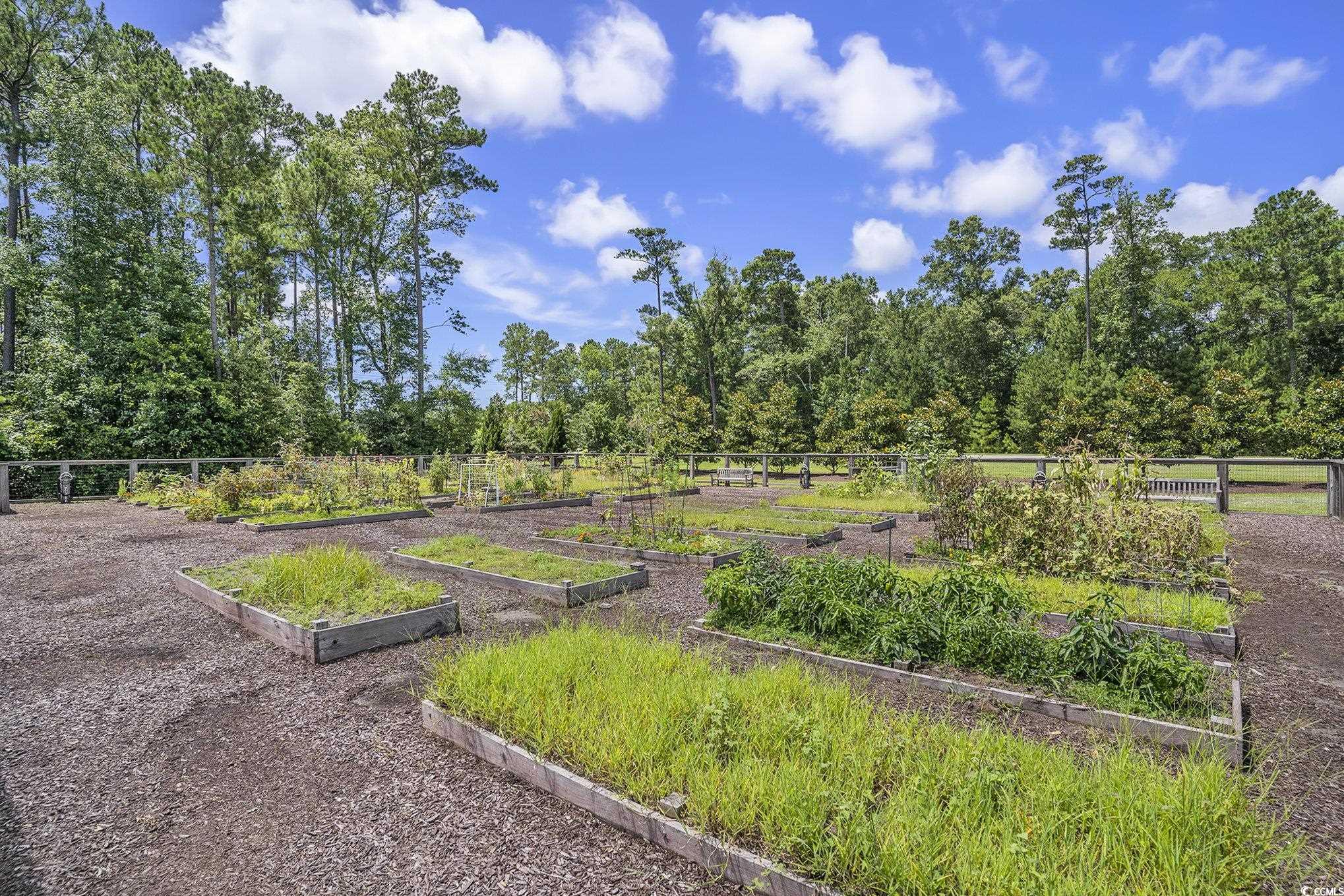 860 Brant Street Myrtle Beach, SC 29579 - Photo 33 of 40 Community plots for growing your own gardens