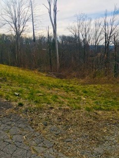 0 West Loop Road Gatlinburg, TN 37738 - Photo 2 of 8