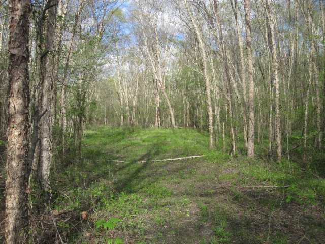 100 North Red Banks Road Holly Springs, MS 38635 - Photo 1 of 14 Gallery Image 1