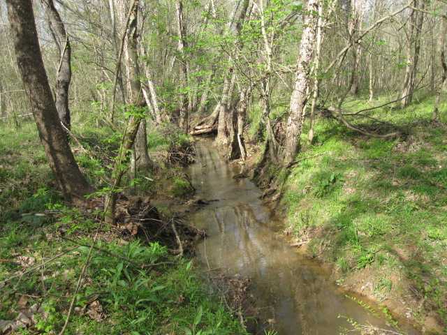 100 North Red Banks Road Holly Springs, MS 38635 - Photo 2 of 14 Gallery Image 2