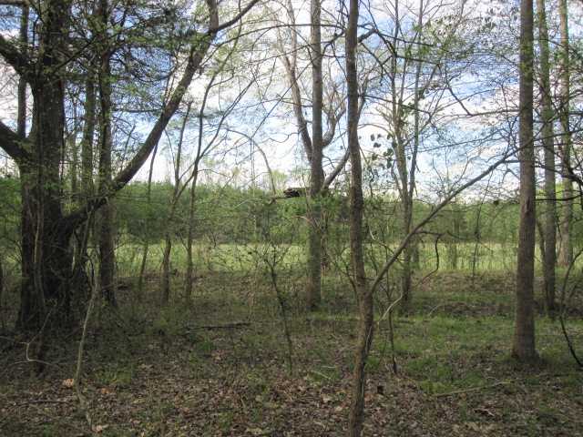 100 North Red Banks Road Holly Springs, MS 38635 - Photo 11 of 14 Gallery Image 11