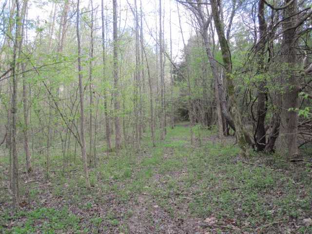 100 North Red Banks Road Holly Springs, MS 38635 - Photo 12 of 14 Gallery Image 12