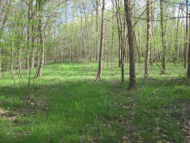 100 North Red Banks Road Holly Springs, MS 38635 - Photo 13 of 14 Gallery Image 13