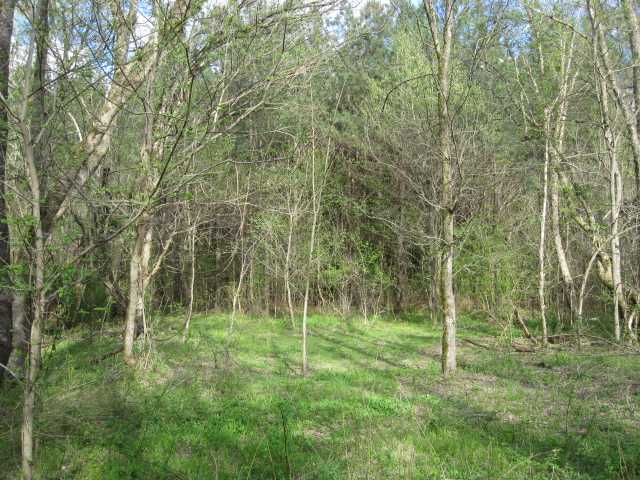100 North Red Banks Road Holly Springs, MS 38635 - Photo 3 of 14 Gallery Image 3