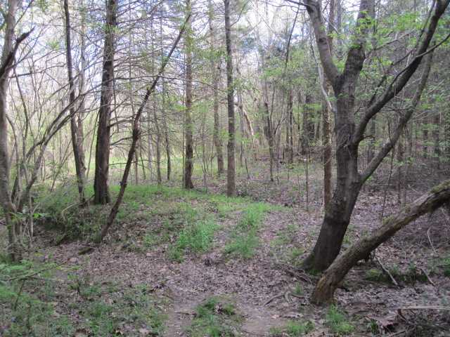100 North Red Banks Road Holly Springs, MS 38635 - Photo 6 of 14 Gallery Image 6