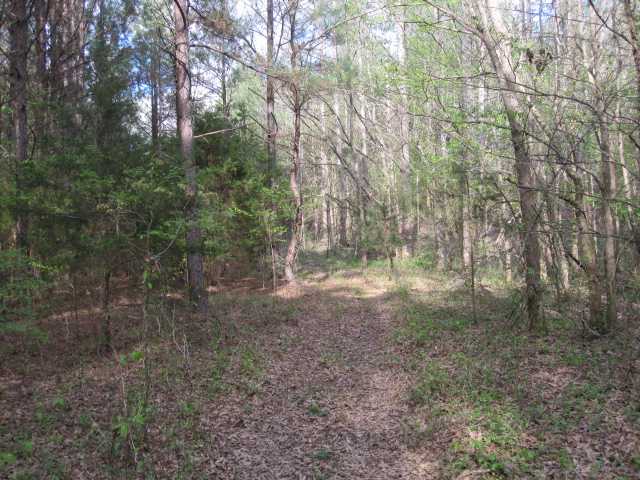 100 North Red Banks Road Holly Springs, MS 38635 - Photo 7 of 14 Gallery Image 7