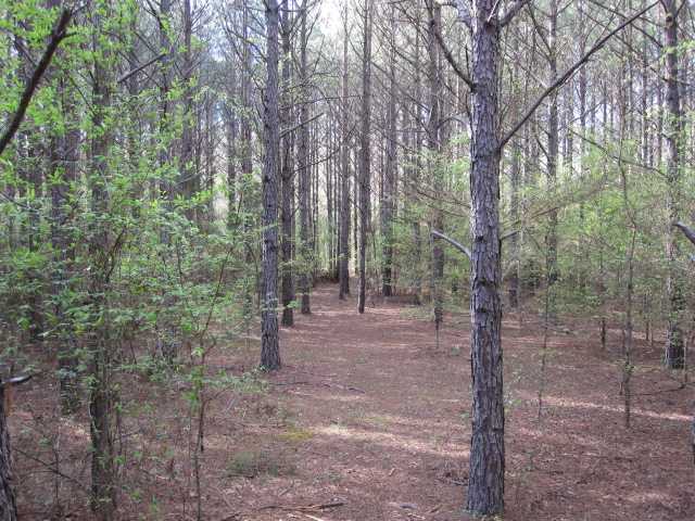 100 North Red Banks Road Holly Springs, MS 38635 - Photo 9 of 14 Gallery Image 9