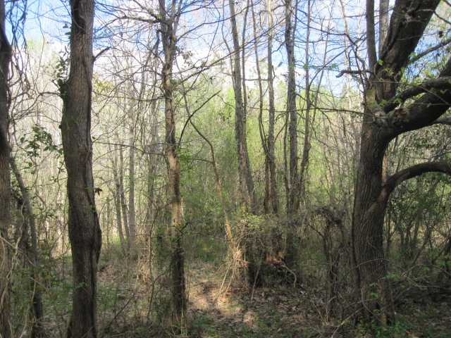100 North Red Banks Road Holly Springs, MS 38635 - Photo 10 of 14 Gallery Image 10