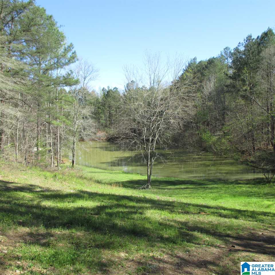 2294 Sims Road Oneonta, AL 35121 - Photo 11 of 14