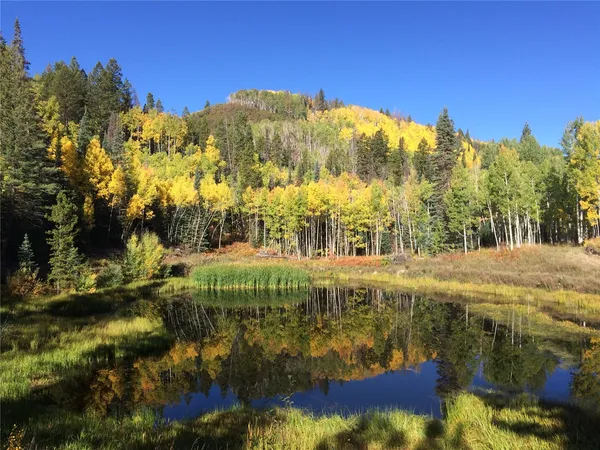 a view of swimming pool of a building