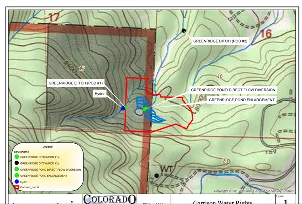 a view of a backyard with tall trees