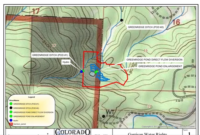 a view of a backyard with tall trees