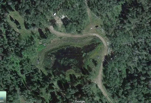 a view of a backyard with plants and trees
