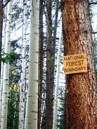 a sign that is on a tree
