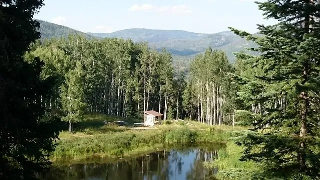 a view of outdoor space and city view