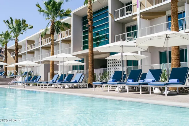 a view of a swimming pool with a lawn chairs and plants