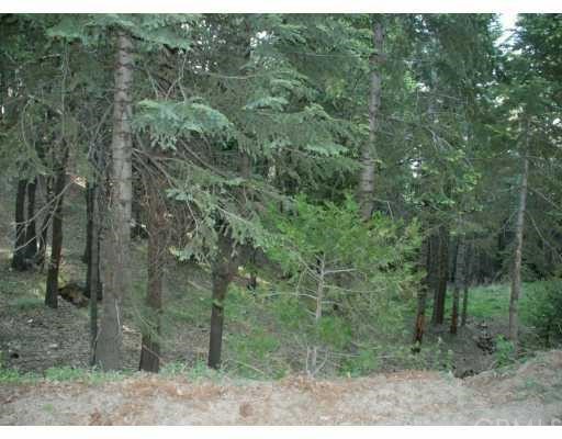 1839 Wilderness Road Running Springs, CA 92382 - Photo 1 of 1 Gallery Image 1