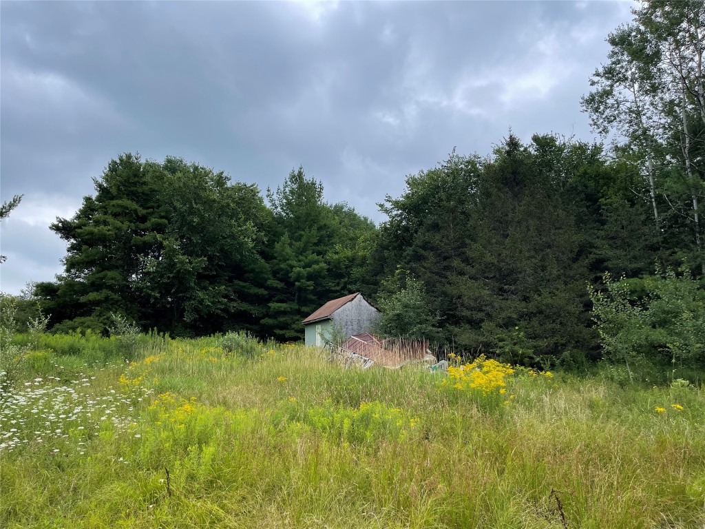 215 Shafer Road Chenango Forks, NY 13746 - Photo 6 of 6 Gallery Image 6