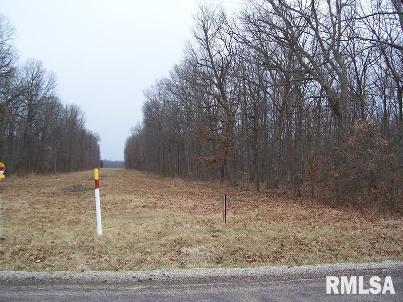 2150 Red Stripe Road Odin, IL 62870 - Photo 1 of 3